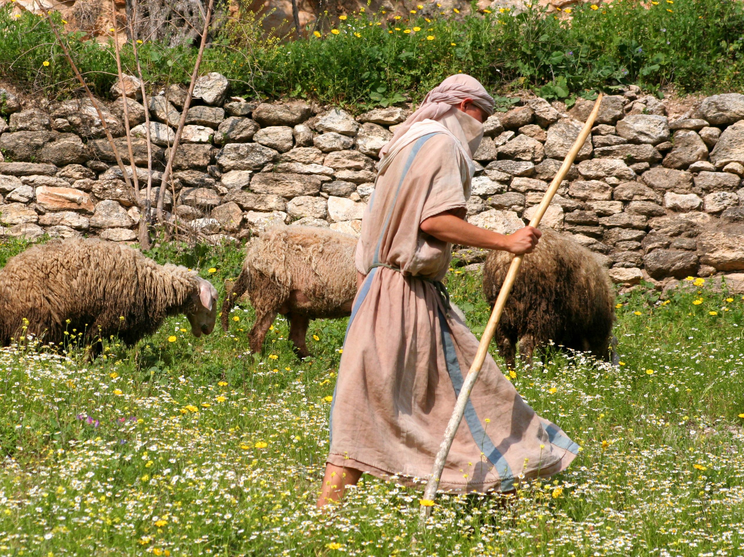 Sermon – In Need of Shepherds – Israel in Prayer