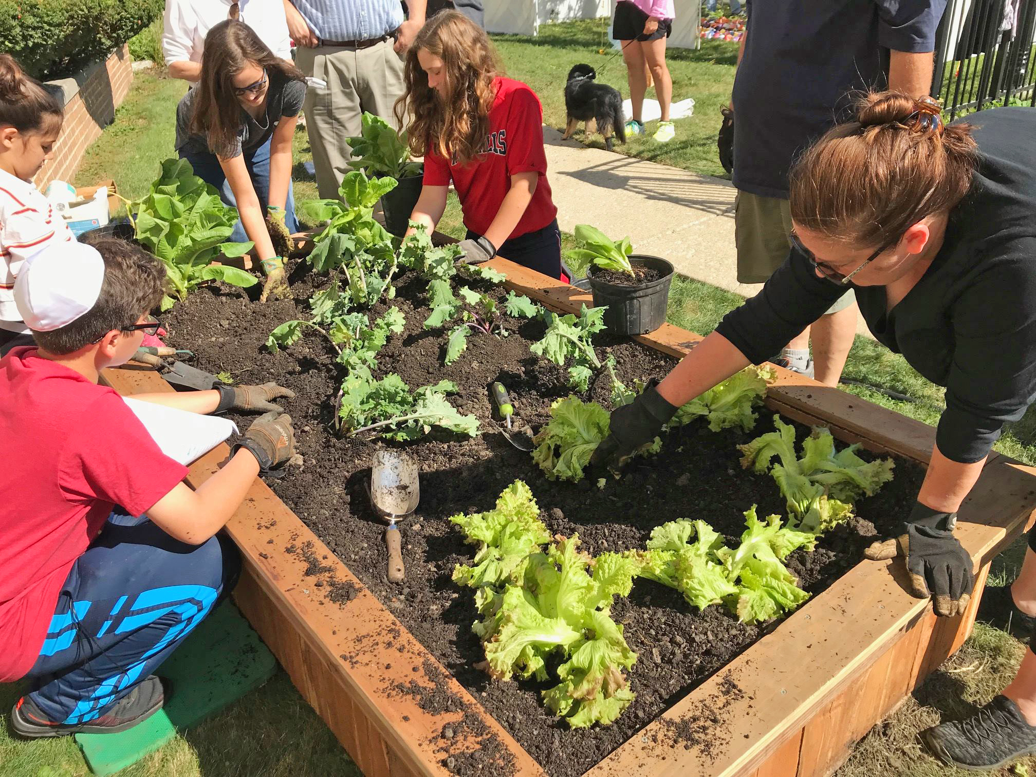 Har Zion Kids Volunteers Gardening