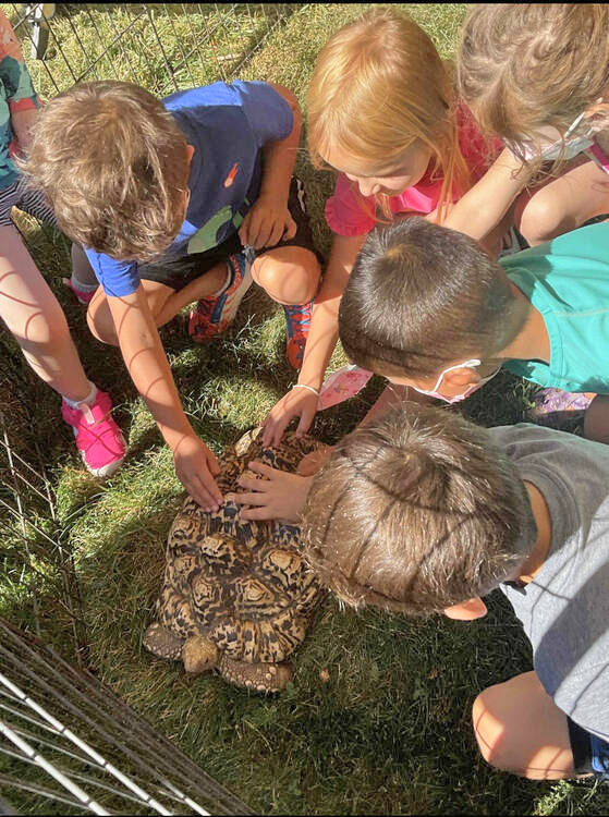 Summer-Camp-Kids-Learning-Nature